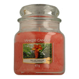 Yankee Candle Housewarmer The Last Paradise