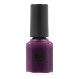 LCN Nail Polish